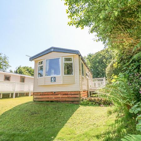 25 Manleigh Park Villa Ilfracombe Eksteriør billede